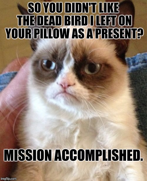 Grumpy Cat Meme | SO YOU DIDN'T LIKE THE DEAD BIRD I LEFT ON YOUR PILLOW AS A PRESENT? MISSION ACCOMPLISHED. | image tagged in memes,grumpy cat | made w/ Imgflip meme maker