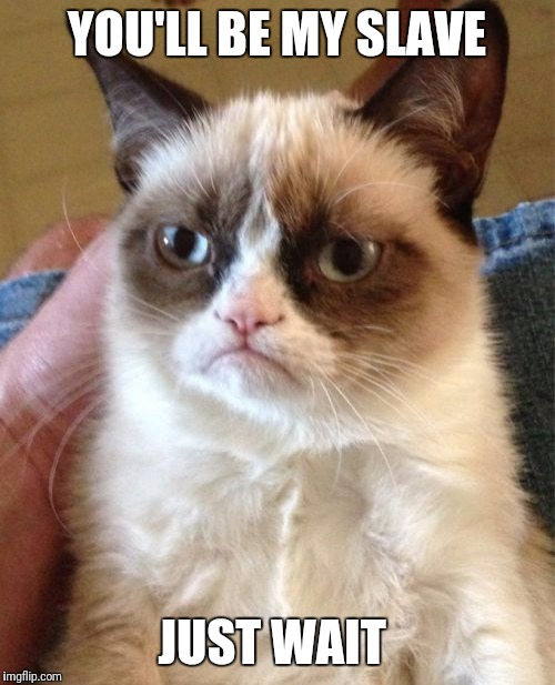 Grumpy Cat | YOU'LL BE MY SLAVE; JUST WAIT | image tagged in memes,grumpy cat | made w/ Imgflip meme maker