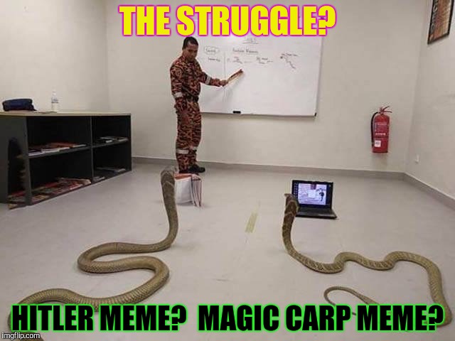 THE STRUGGLE? HITLER MEME?  MAGIC CARP MEME? | made w/ Imgflip meme maker