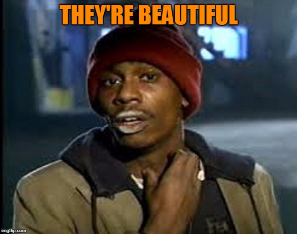 THEY'RE BEAUTIFUL | made w/ Imgflip meme maker