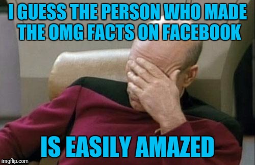 Captain Picard Facepalm | I GUESS THE PERSON WHO MADE THE OMG FACTS ON FACEBOOK; IS EASILY AMAZED | image tagged in memes,captain picard facepalm | made w/ Imgflip meme maker