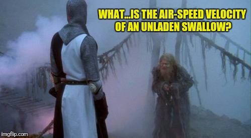 WHAT...IS THE AIR-SPEED VELOCITY OF AN UNLADEN SWALLOW? | made w/ Imgflip meme maker