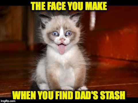 That Face | THE FACE YOU MAKE; WHEN YOU FIND DAD'S STASH | image tagged in goofy kitten | made w/ Imgflip meme maker