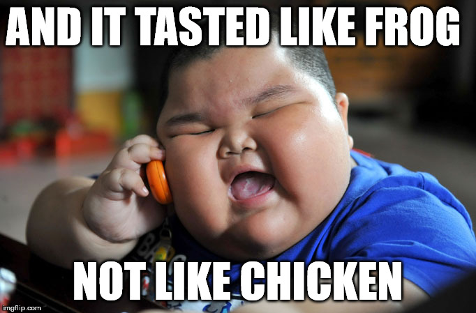 tastes like chicken | AND IT TASTED LIKE FROG; NOT LIKE CHICKEN | image tagged in cats,chicken,fat kid,frog | made w/ Imgflip meme maker