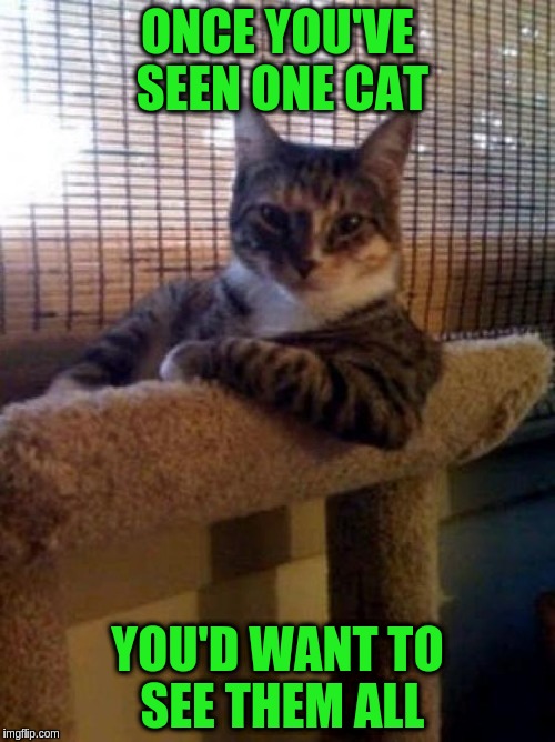 Love to see cats | ONCE YOU'VE SEEN ONE CAT; YOU'D WANT TO SEE THEM ALL | image tagged in memes,the most interesting cat in the world,funny,cats,animals | made w/ Imgflip meme maker