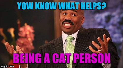 Steve Harvey Meme | YOW KNOW WHAT HELPS? BEING A CAT PERSON | image tagged in memes,steve harvey | made w/ Imgflip meme maker