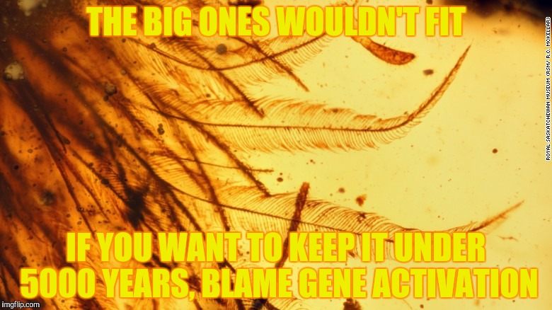 THE BIG ONES WOULDN'T FIT IF YOU WANT TO KEEP IT UNDER 5000 YEARS, BLAME GENE ACTIVATION | made w/ Imgflip meme maker