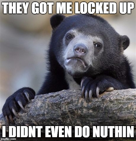 Confession Bear Meme | THEY GOT ME LOCKED UP; I DIDNT EVEN DO NUTHIN | image tagged in memes,confession bear | made w/ Imgflip meme maker
