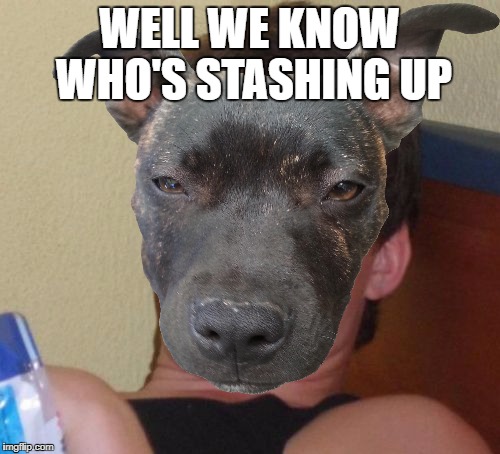 WELL WE KNOW WHO'S STASHING UP | made w/ Imgflip meme maker
