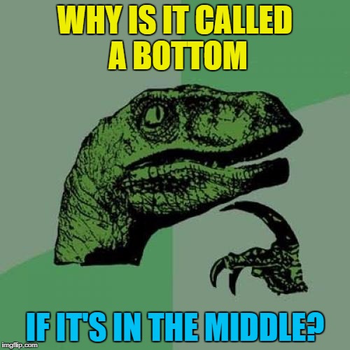 Doctors, eh? :) | WHY IS IT CALLED A BOTTOM; IF IT'S IN THE MIDDLE? | image tagged in memes,philosoraptor,bottom,human body,science,medicine | made w/ Imgflip meme maker