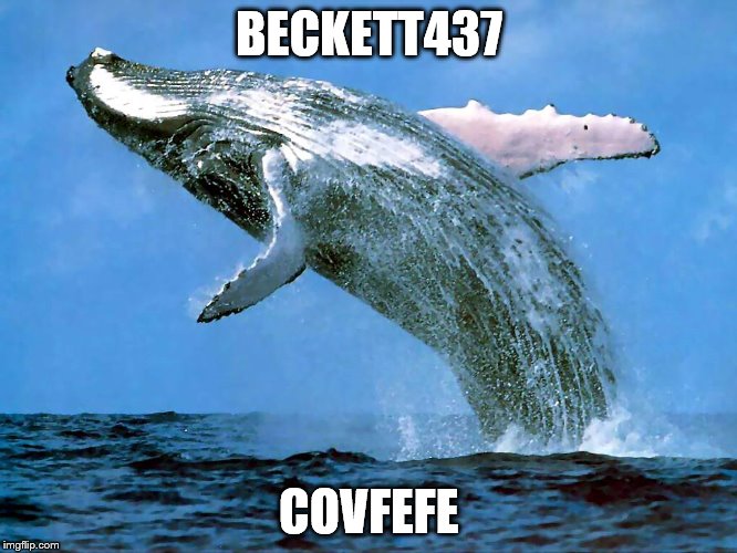 whale | BECKETT437; COVFEFE | image tagged in whale | made w/ Imgflip meme maker