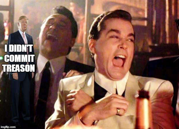 Goodfellas Laugh | I DIDN'T COMMIT TREASON | image tagged in goodfellas laugh | made w/ Imgflip meme maker
