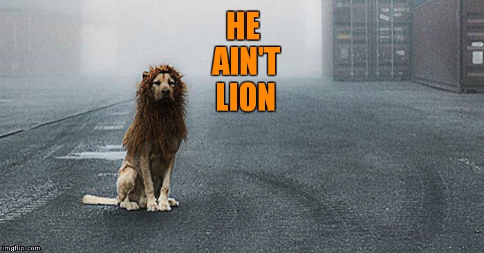 HE AIN'T LION | made w/ Imgflip meme maker