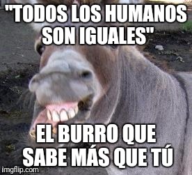 Donkey | "TODOS LOS HUMANOS SON IGUALES"; EL BURRO QUE SABE MÁS QUE TÚ | image tagged in donkey | made w/ Imgflip meme maker