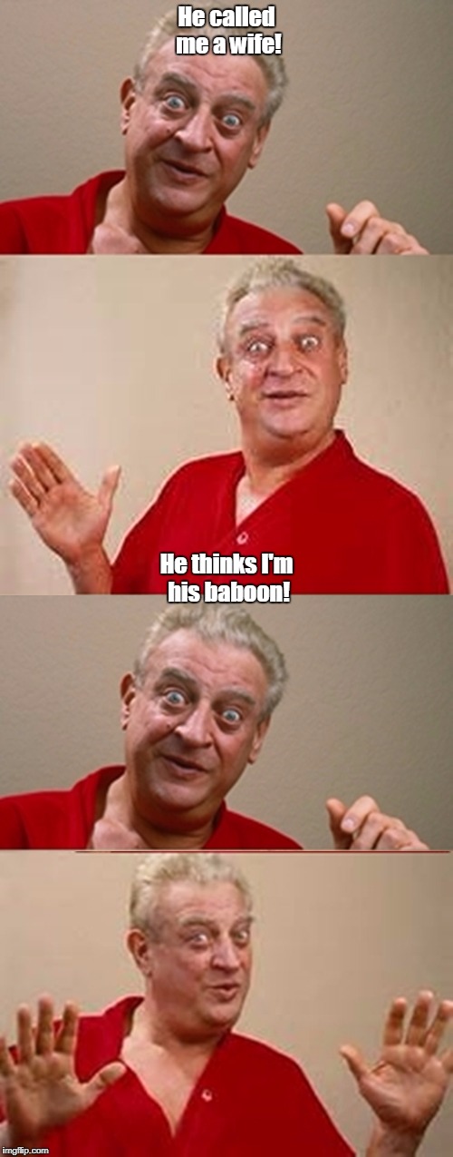 No respect | He called me a wife! He thinks I'm his baboon! | image tagged in bad pun rodney dangerfield,memes | made w/ Imgflip meme maker