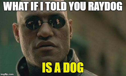 Matrix Morpheus Meme | WHAT IF I TOLD YOU RAYDOG IS A DOG | image tagged in memes,matrix morpheus | made w/ Imgflip meme maker