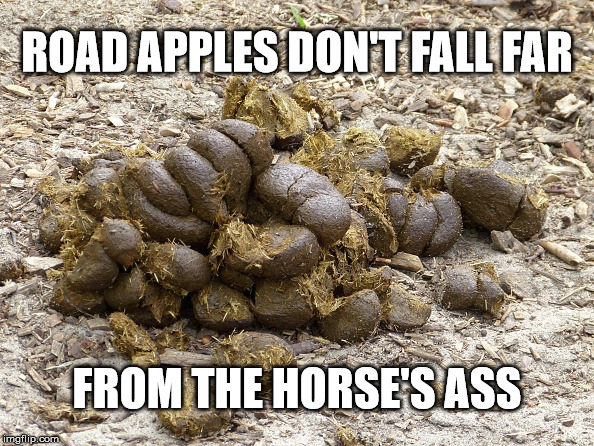  ROAD APPLES DON'T FALL FAR; FROM THE HORSE'S ASS | image tagged in apples,trees,road apples,horse's ass | made w/ Imgflip meme maker
