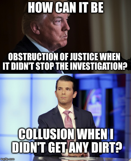 Two men, using incompetence as a legal defense. | HOW CAN IT BE; OBSTRUCTION OF JUSTICE WHEN IT DIDN'T STOP THE INVESTIGATION? COLLUSION WHEN I DIDN'T GET ANY DIRT? | image tagged in trump,don trump jr,obstruction of justice,collusion,humor | made w/ Imgflip meme maker