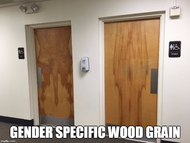 Which One Would You Use? | GENDER SPECIFIC WOOD GRAIN | image tagged in vince vance,his and hers wood,mens room,ladies room,men vs women,gender | made w/ Imgflip meme maker