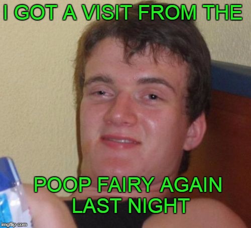 The poop fairy is supposed to stop visiting after you're 2 years old. | I GOT A VISIT FROM THE; POOP FAIRY AGAIN LAST NIGHT | image tagged in memes,10 guy | made w/ Imgflip meme maker