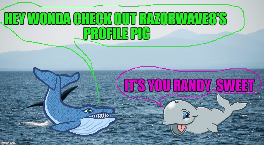 HEY WONDA CHECK OUT RAZORWAVE8'S  PROFILE PIC; IT'S YOU RANDY  SWEET | made w/ Imgflip meme maker