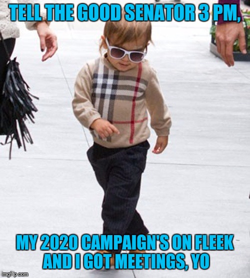 US Political Future |  TELL THE GOOD SENATOR 3 PM, MY 2020 CAMPAIGN'S ON FLEEK AND I GOT MEETINGS, YO | image tagged in swag kid,memes,politics,political meme,2020 elections | made w/ Imgflip meme maker