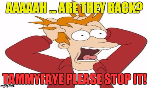 AAAAAH ... ARE THEY BACK? TAMMYFAYE PLEASE STOP IT! | made w/ Imgflip meme maker