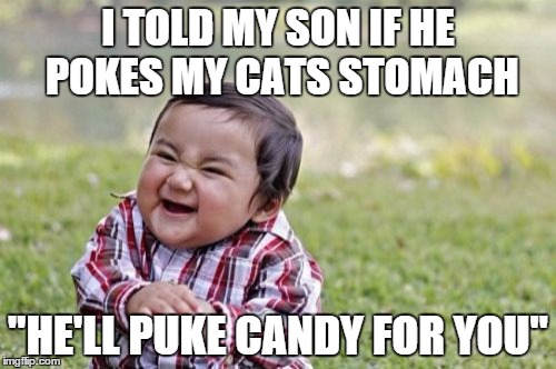Evil Toddler | I TOLD MY SON IF HE POKES MY CATS STOMACH; "HE'LL PUKE CANDY FOR YOU" | image tagged in memes,evil toddler | made w/ Imgflip meme maker