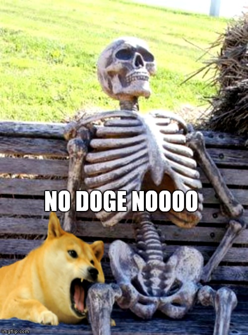 NO DOGE NOOOO | made w/ Imgflip meme maker