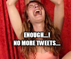 Tweets No More ! | ENOUGH....! NO MORE TWEETS.... | image tagged in tweet | made w/ Imgflip meme maker