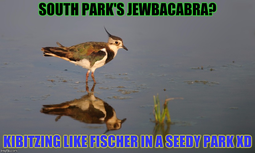 SOUTH PARK'S JEWBACABRA? KIBITZING LIKE FISCHER IN A SEEDY PARK XD | made w/ Imgflip meme maker