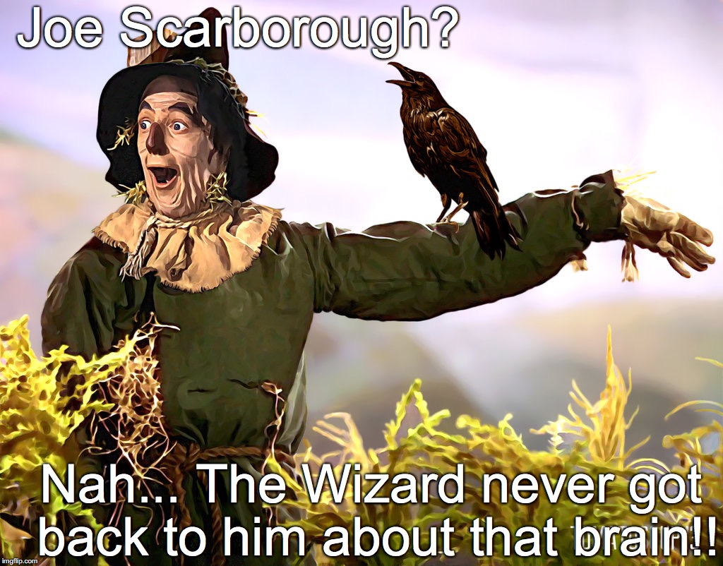 SCARECROW - OZ | Joe Scarborough? Nah... The Wizard never got back to him about that brain!! | image tagged in scarecrow - oz | made w/ Imgflip meme maker