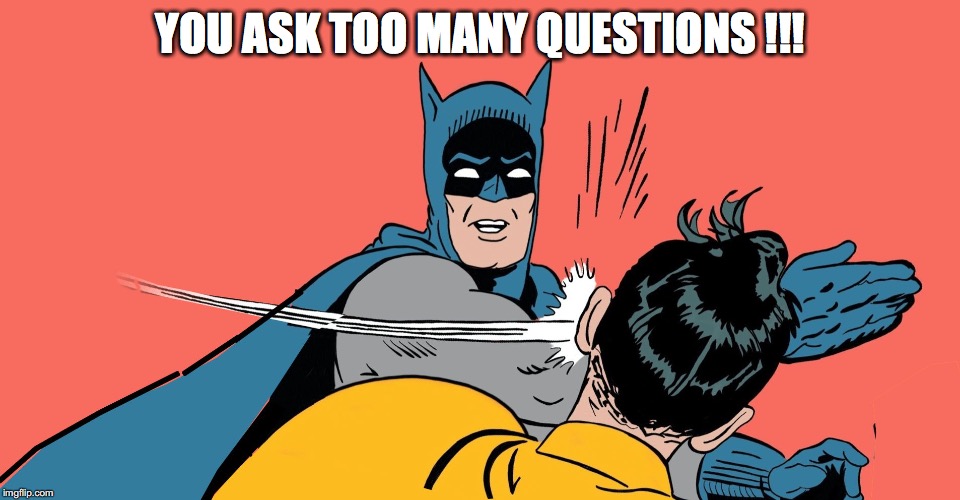 Batman slaping robin | YOU ASK TOO MANY QUESTIONS !!! | image tagged in batman slaping robin | made w/ Imgflip meme maker