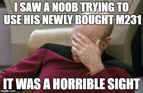 Captain Picard Facepalm Meme | I SAW A NOOB TRYING TO USE HIS NEWLY BOUGHT M231; IT WAS A HORRIBLE SIGHT | image tagged in memes,captain picard facepalm | made w/ Imgflip meme maker