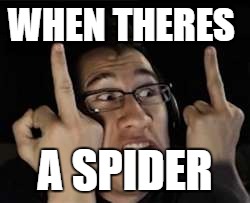 Markiplier | WHEN THERES; A SPIDER | image tagged in markiplier | made w/ Imgflip meme maker