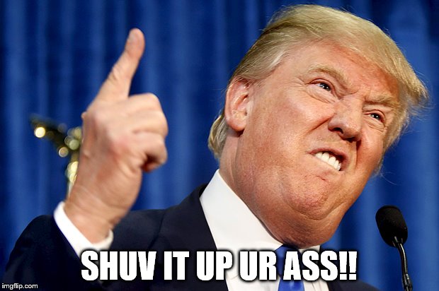 Donald Trump | SHUV IT UP UR ASS!! | image tagged in donald trump | made w/ Imgflip meme maker