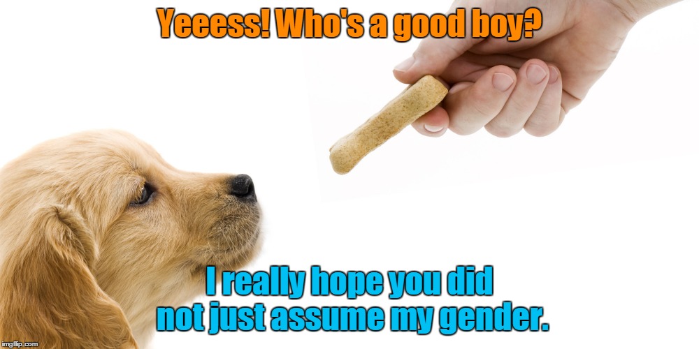 Yeeess! Who's a good boy? I really hope you did not just assume my gender. | made w/ Imgflip meme maker