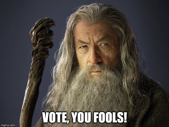 Vote, you fools! | VOTE, YOU FOOLS! | image tagged in gandalf,voting,fools | made w/ Imgflip meme maker