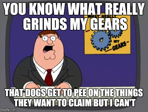 Peter Griffin News Meme | YOU KNOW WHAT REALLY GRINDS MY GEARS; THAT DOGS GET TO PEE ON THE THINGS THEY WANT TO CLAIM BUT I CAN'T | image tagged in memes,peter griffin news | made w/ Imgflip meme maker