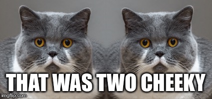 THAT WAS TWO CHEEKY | made w/ Imgflip meme maker