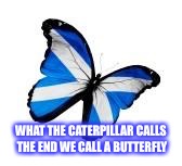 Scotland butterfly  | WHAT THE CATERPILLAR CALLS THE END WE CALL A BUTTERFLY | image tagged in scotland butterfly | made w/ Imgflip meme maker