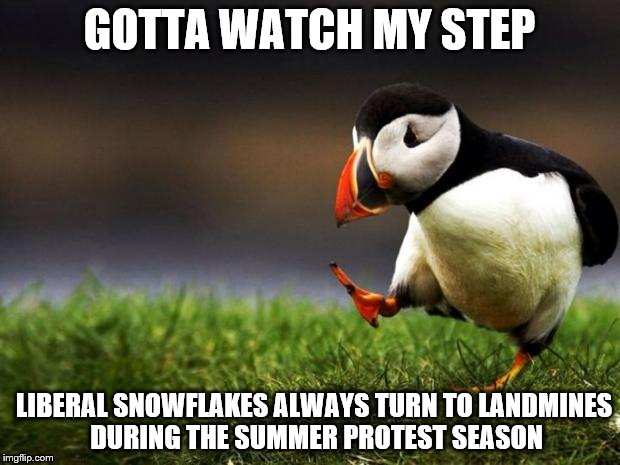 Unpopular Opinion Puffin | GOTTA WATCH MY STEP; LIBERAL SNOWFLAKES ALWAYS TURN TO LANDMINES DURING THE SUMMER PROTEST SEASON | image tagged in memes,unpopular opinion puffin | made w/ Imgflip meme maker