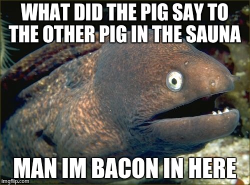 Bad Joke Eel Meme | WHAT DID THE PIG SAY TO THE OTHER PIG IN THE SAUNA; MAN IM BACON IN HERE | image tagged in memes,bad joke eel | made w/ Imgflip meme maker