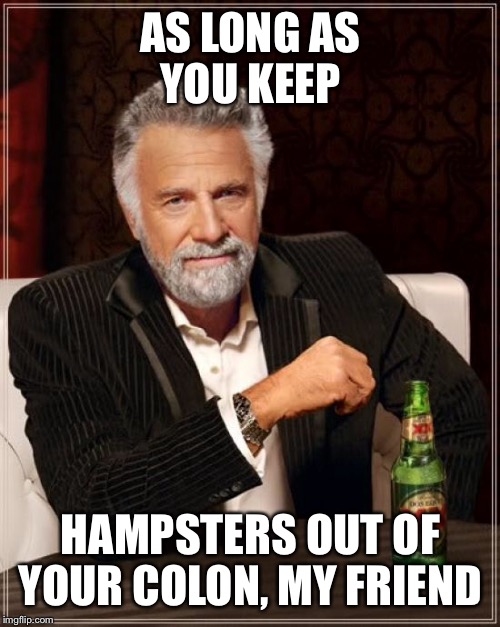The Most Interesting Man In The World Meme | AS LONG AS YOU KEEP HAMPSTERS OUT OF YOUR COLON, MY FRIEND | image tagged in memes,the most interesting man in the world | made w/ Imgflip meme maker