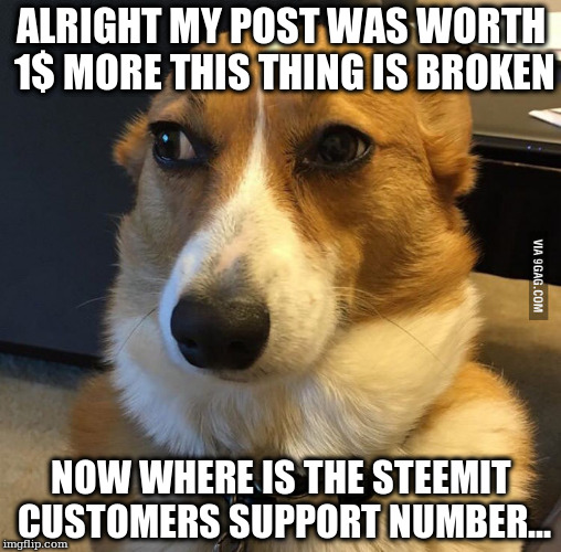 ALRIGHT MY POST WAS WORTH 1$ MORE THIS THING IS BROKEN; NOW WHERE IS THE STEEMIT CUSTOMERS SUPPORT NUMBER... | made w/ Imgflip meme maker