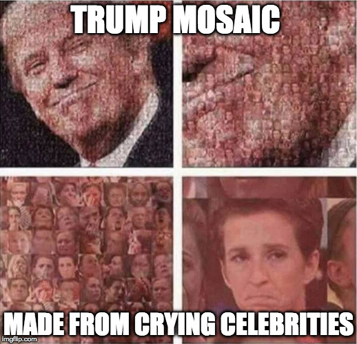 This just won the Internet. | TRUMP MOSAIC; MADE FROM CRYING CELEBRITIES | image tagged in donald trump,hollywood,college liberal,crying,iwanttobebacon,won the internet | made w/ Imgflip meme maker