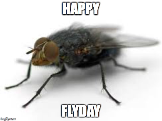 HAPPY FLYDAY | made w/ Imgflip meme maker