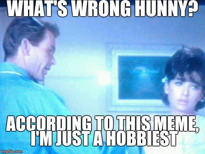 hildigar dagmar ermtrude | WHAT'S WRONG HUNNY? ACCORDING TO THIS MEME, I'M JUST A HOBBIEST | image tagged in hildigar dagmar ermtrude | made w/ Imgflip meme maker