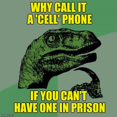 things that make you wonder | WHY CALL IT A 'CELL' PHONE; IF YOU CAN'T HAVE ONE IN PRISON | image tagged in memes,philosoraptor,cell phone,cell,prison | made w/ Imgflip meme maker