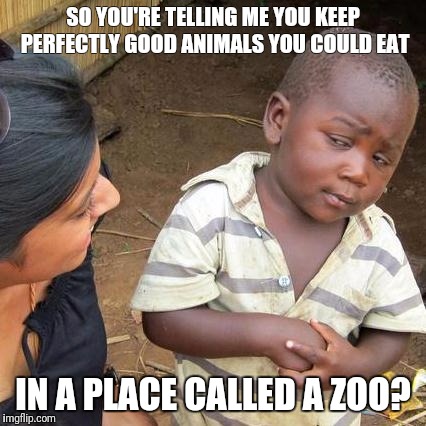 Third World Skeptical Kid Meme | SO YOU'RE TELLING ME YOU KEEP PERFECTLY GOOD ANIMALS YOU COULD EAT; IN A PLACE CALLED A ZOO? | image tagged in memes,third world skeptical kid | made w/ Imgflip meme maker